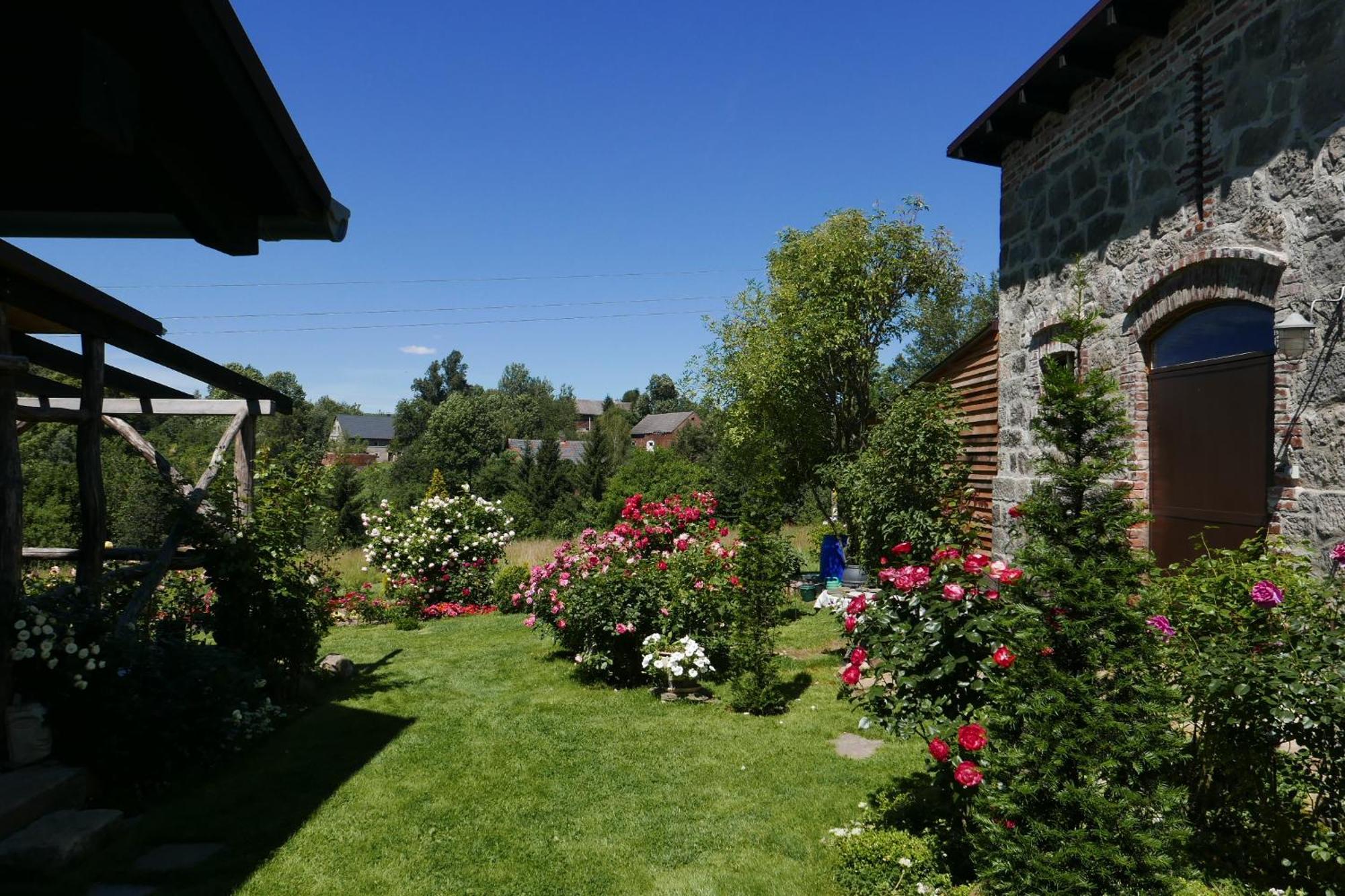 Róże i Jabłonie Agroturystyka Gryfów Śląski Exterior foto