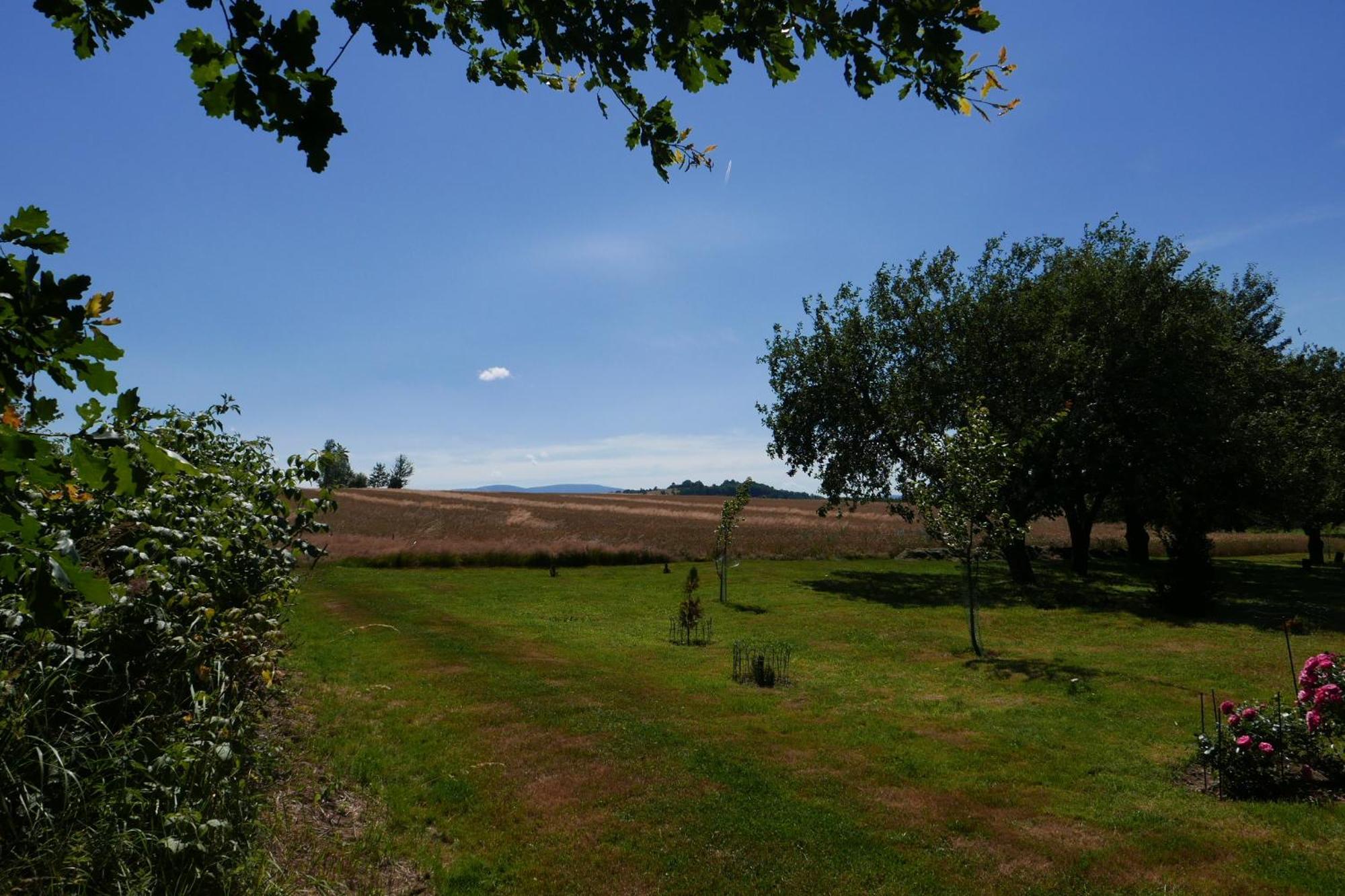 Róże i Jabłonie Agroturystyka Gryfów Śląski Exterior foto